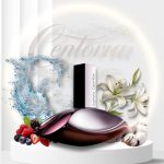ادکلن اماراتی ایفوریا (Euphoria Calvin Klein) زنانه – الهام از کلوین کلاین 100 میل