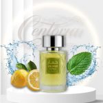 ادکلن وادی الخلیج سیترس (Wadi Al Khaleej Citrus) حجم 100 میل | عطری خنک، مرکباتی و انرژی‌بخش